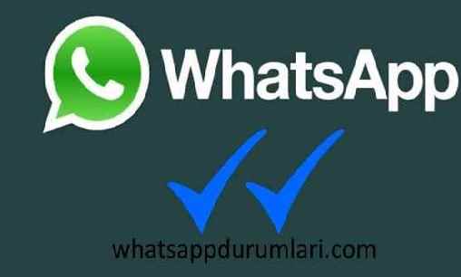 Whatsapp Mesajların Yanındaki İşaretler